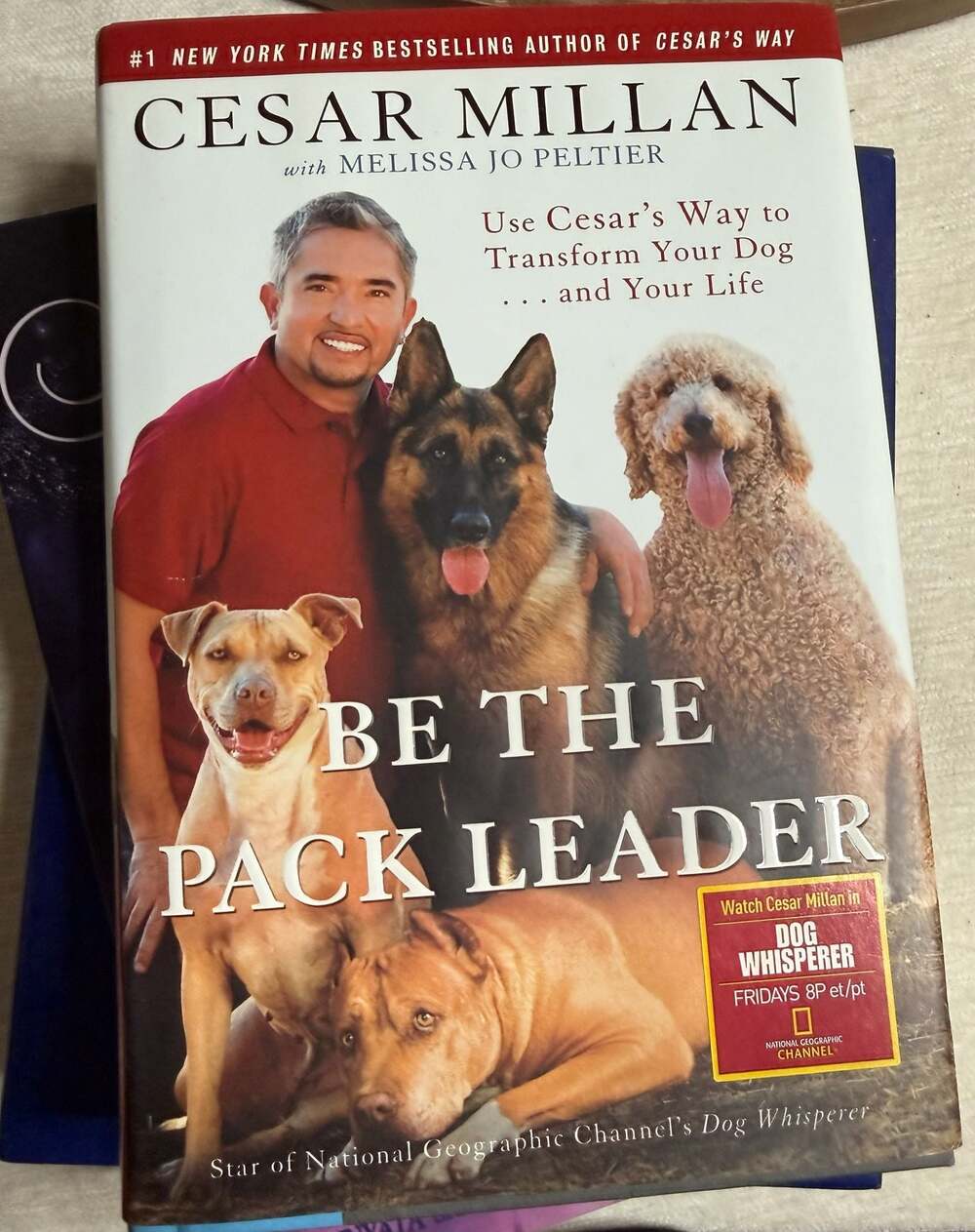 Be the Pack Leader by Cesar Millan